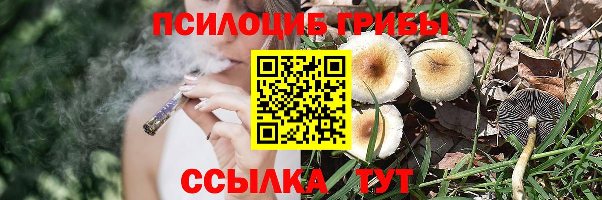 Псилоцибиновые грибы ЛСД Керчь